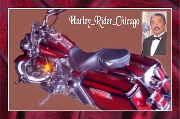 harley.jpg (17544 bytes)